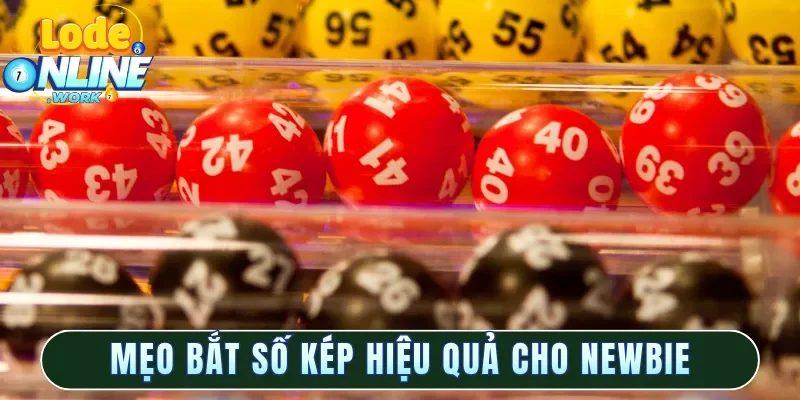 Mẹo bắt số kép hiệu quả cho newbie
