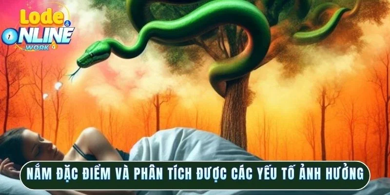 Nắm đặc điểm và phân tích được các yếu tố ảnh hưởng